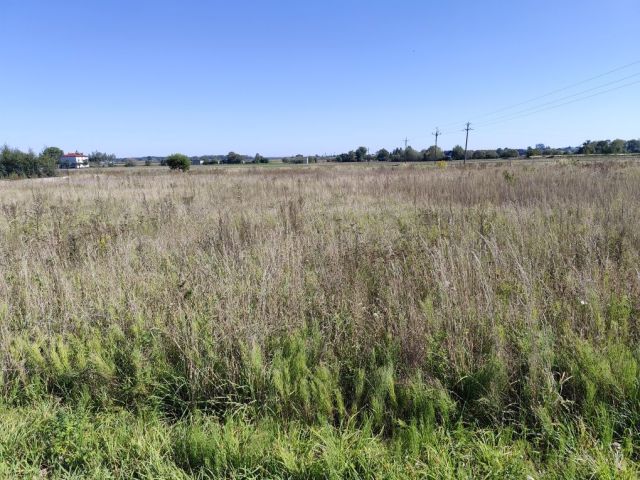 Działka budowlana Kobylany. Zdjęcie 1