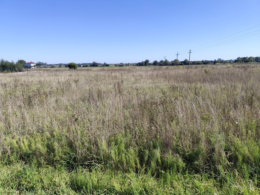 Działka budowlana Kobylany