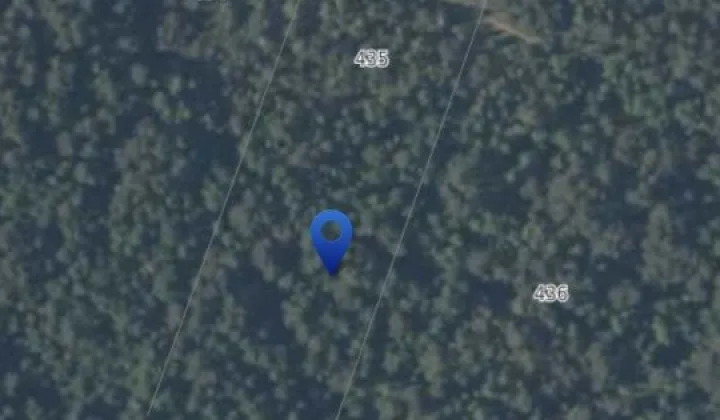 Działka leśna Komórki