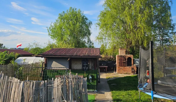 Działka rod Myślibórz, ul. Celna