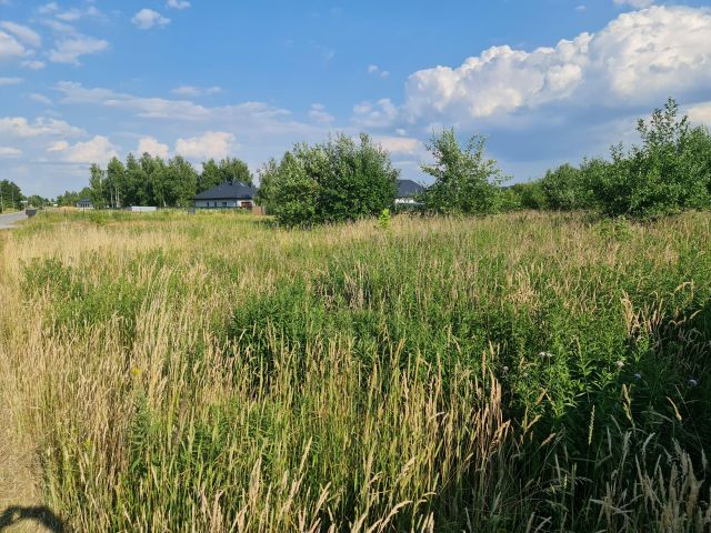 Działka rolno-budowlana Dąbrówka Wielka, ul. Kasztanowa. Zdjęcie 1