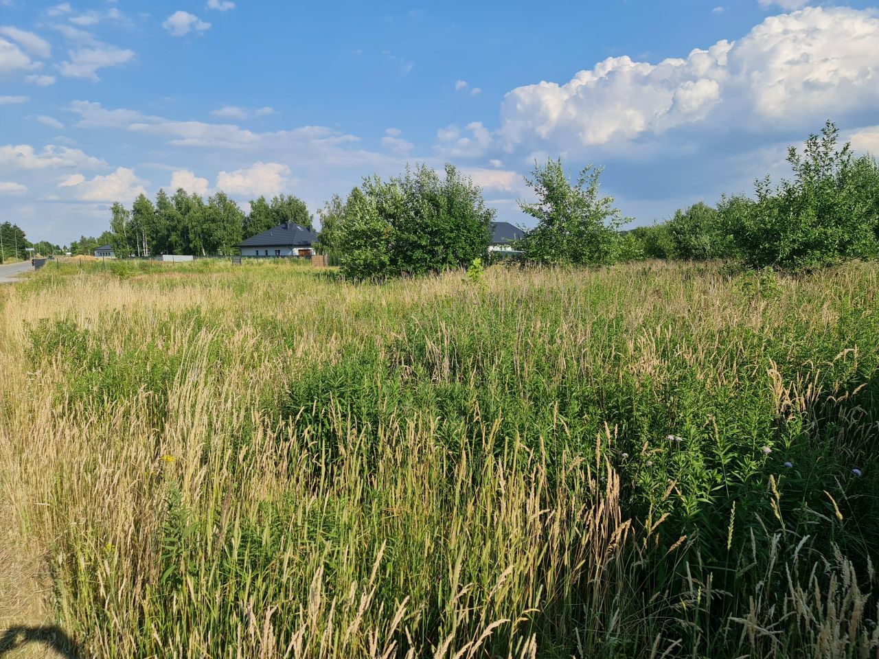 Działka rolno-budowlana Dąbrówka Wielka, ul. Kasztanowa