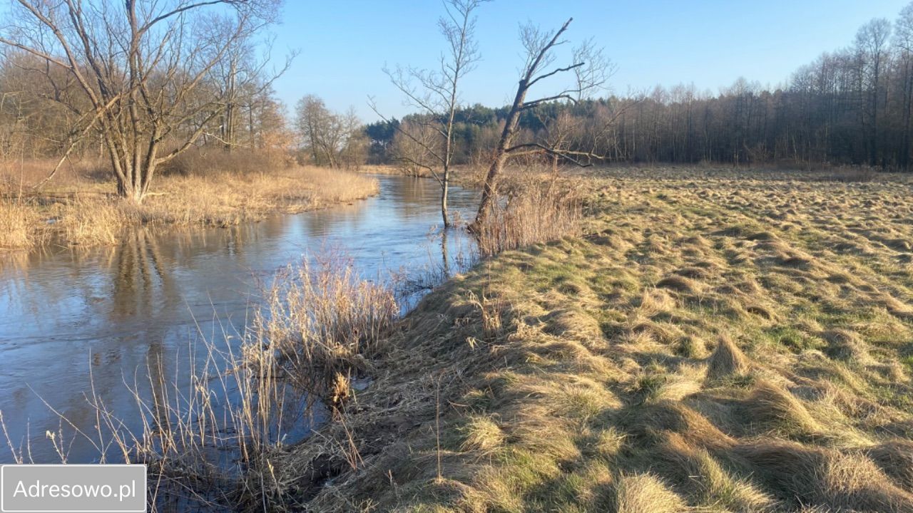 Działka siedliskowa Dobrzyniec. Zdjęcie 15