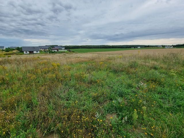 Działka rolno-budowlana Grabowo. Zdjęcie 7