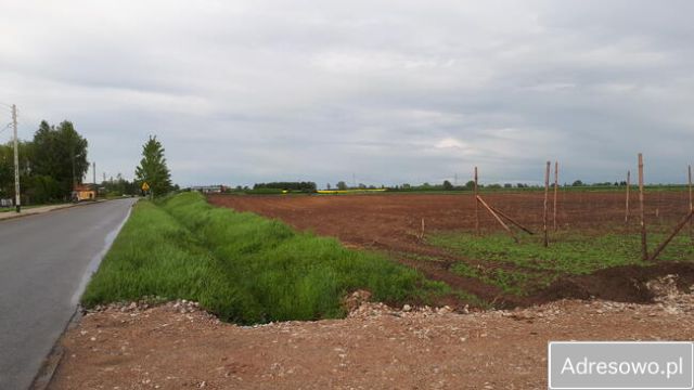 Działka siedliskowa Sieciechów. Zdjęcie 1