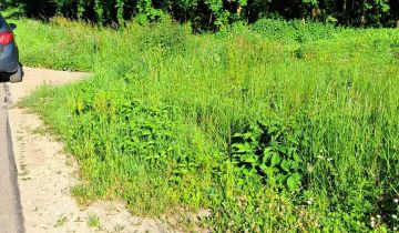 Działka rolna Wieprzów Tarnawacki Skrzypny Ostrów