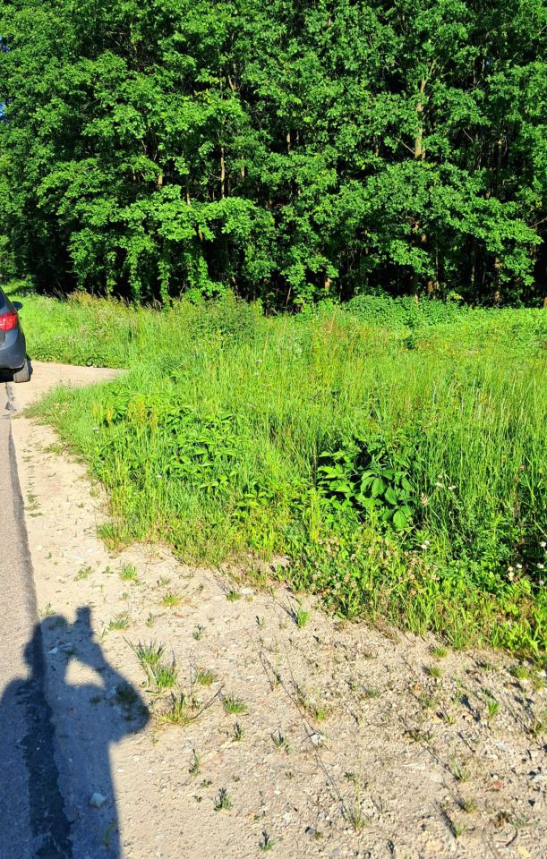 Działka rolna Wieprzów Tarnawacki Skrzypny Ostrów. Zdjęcie 2