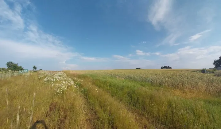 Działka budowlana Brzeg