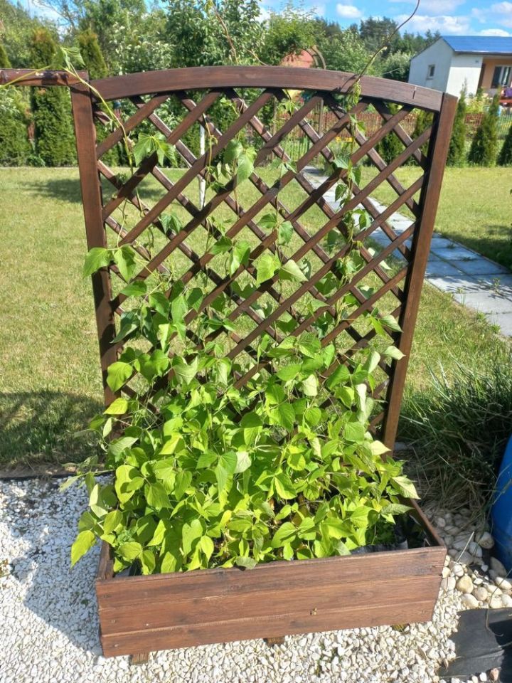 Działka rod Wronki. Zdjęcie 2