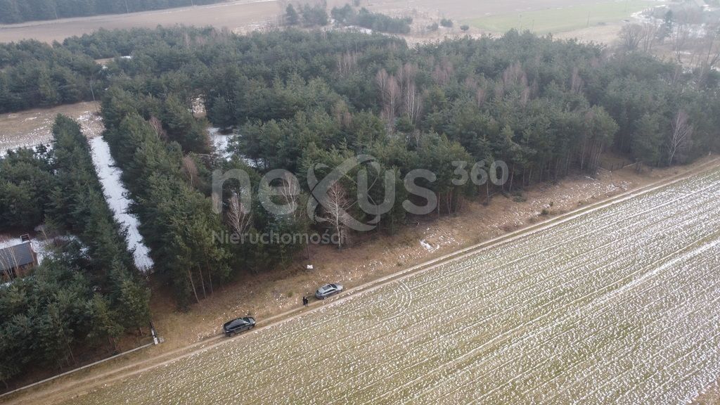 Działka budowlana Drogoszowice. Zdjęcie 1