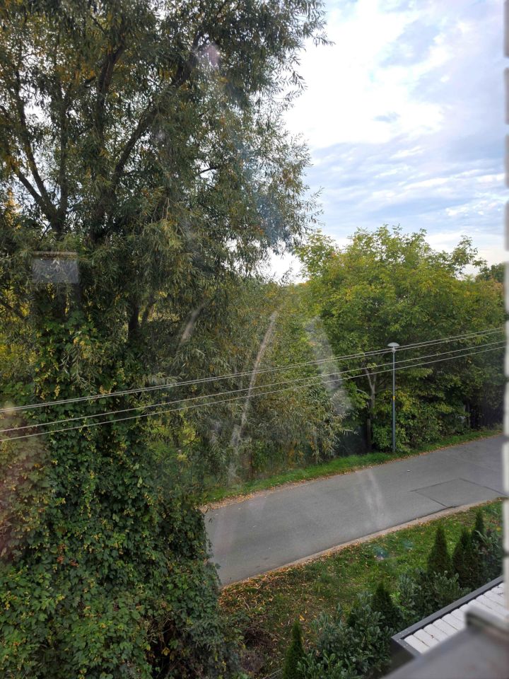 dom szeregowy, 5 pokoi Wrocław Psie Pole, ul. Łabędzia. Zdjęcie 24