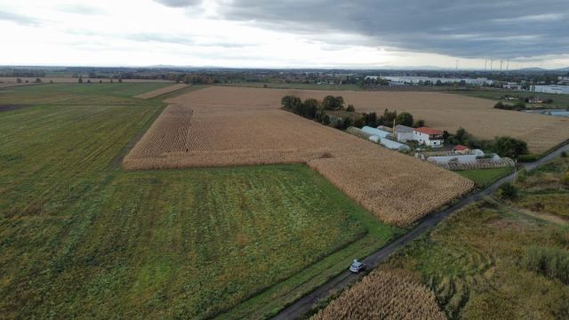 Działka inwestycyjna Ścinawa Polska. Zdjęcie 4