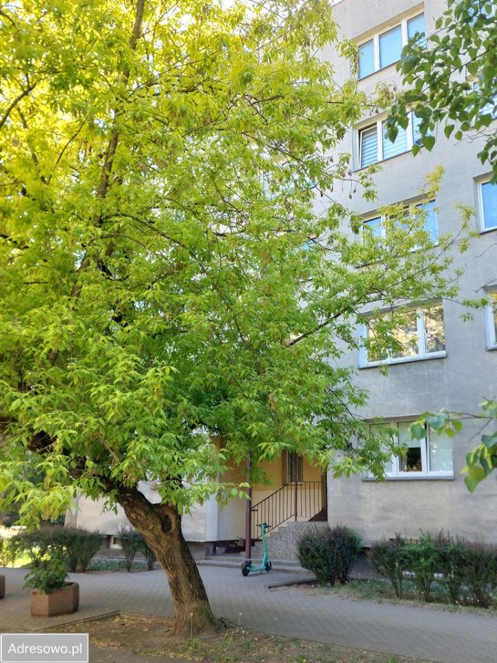 Mieszkanie 3-pokojowe Warszawa Bródno, ul. Wybrańska. Zdjęcie 14