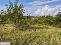 Działka rolno-budowlana Szuć. Zdjęcie 4