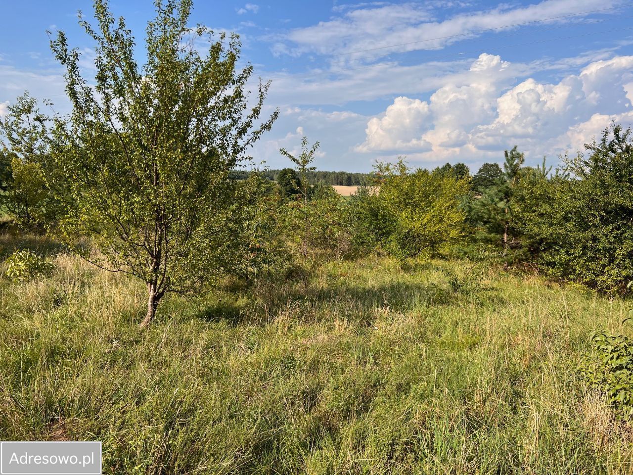 Działka rolno-budowlana Szuć. Zdjęcie 5