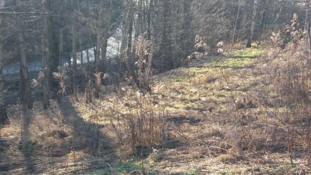 Działka rolna Wierzchowie. Zdjęcie 1