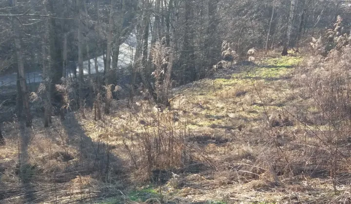 Działka rolna Wierzchowie