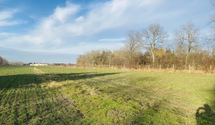 Działka budowlana Dębówka