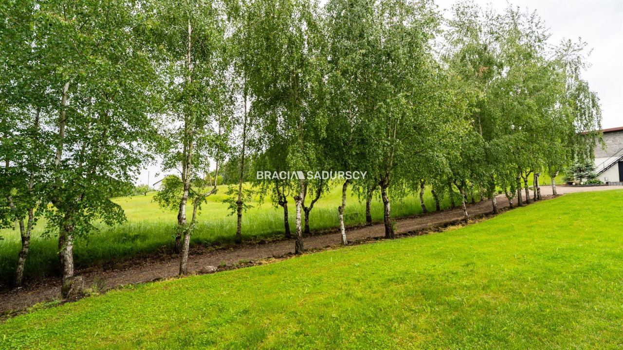 Działka rolno-budowlana Łazany. Zdjęcie 11