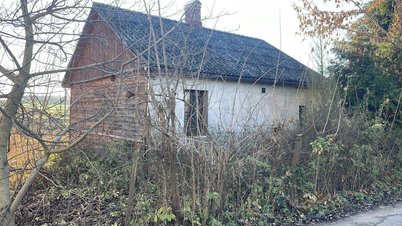 dom wolnostojący, 2 pokoje Buszkowice. Zdjęcie 4