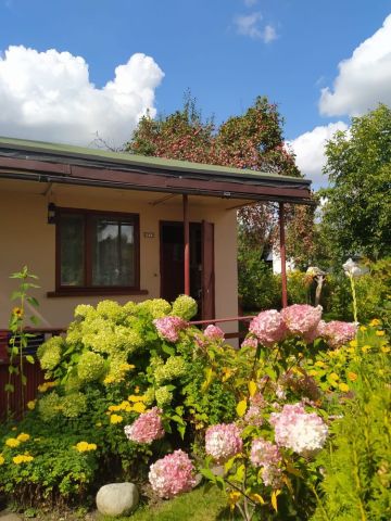 Działka rod Wrocław Psie Pole. Zdjęcie 1