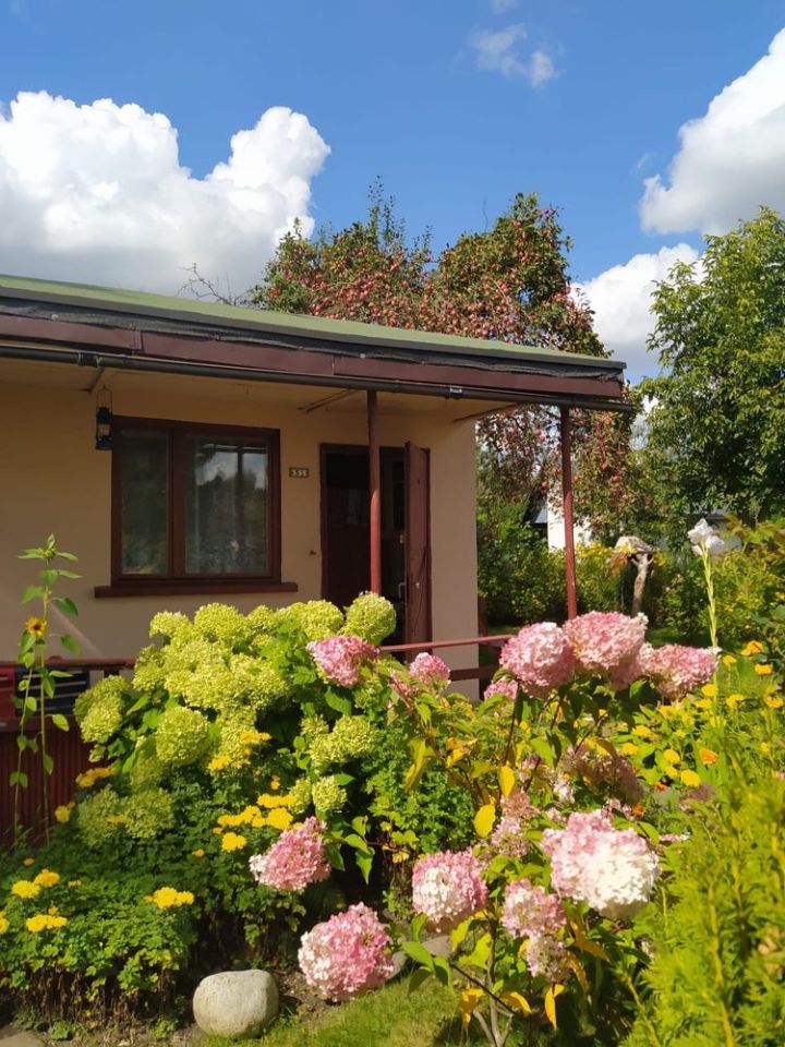 Działka rod Wrocław Psie Pole. Zdjęcie 1