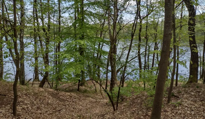 Działka rekreacyjna Jeleń