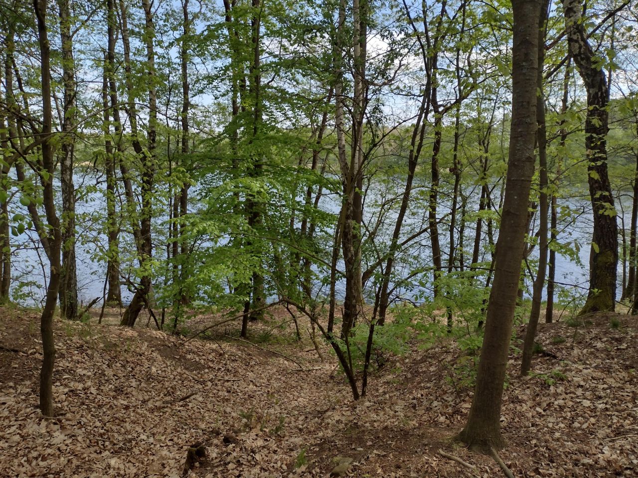 Działka rekreacyjna Jeleń. Zdjęcie 1