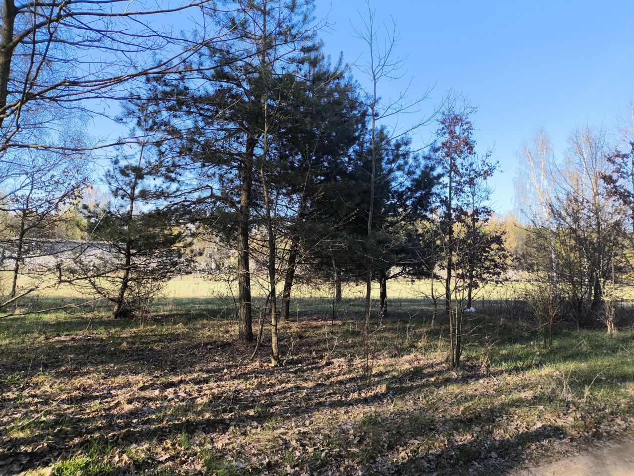 Działka budowlana Podole. Zdjęcie 5