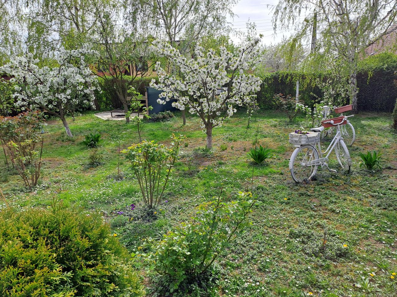 dom wolnostojący, 5 pokoi Szymanowice. Zdjęcie 14