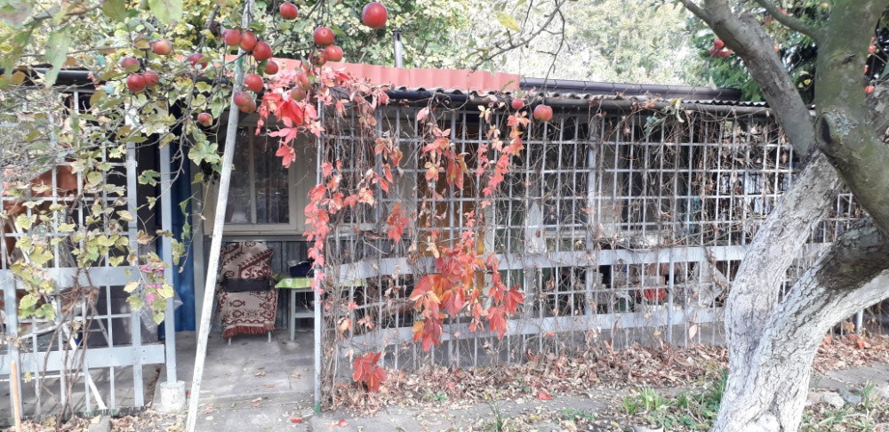 Działka rekreacyjna Grudziądz Mniszek, ul. Wojciecha Kossaka