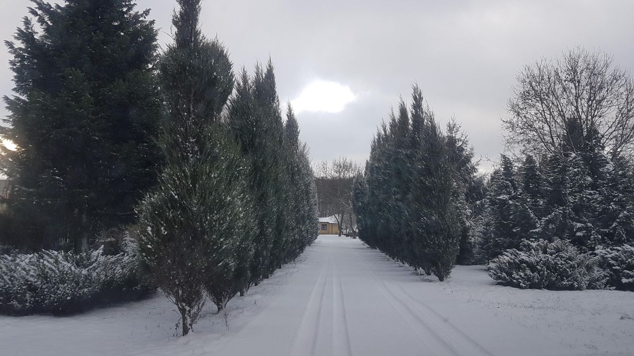 Działka budowlana Łódź Ruda Pabianicka, ul. Rafowa. Zdjęcie 5