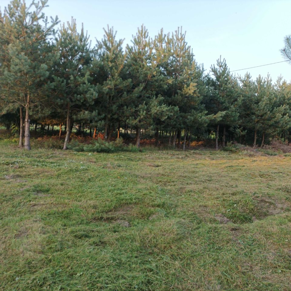 Działka rolno-budowlana Słoneczna Frankowizna. Zdjęcie 8