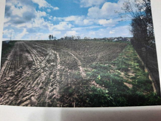 Działka budowlana Osiek, ul. Szkolna. Zdjęcie 1