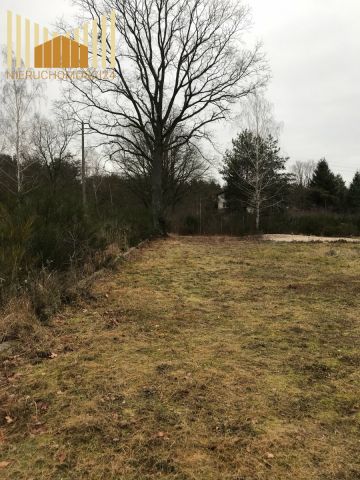 Działka budowlana Józefów, ul. Górczewska. Zdjęcie 1