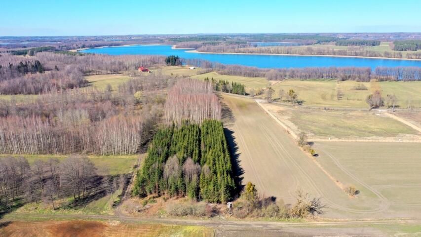 Działka leśna Harsz. Zdjęcie 2