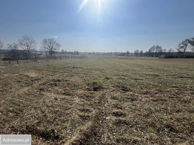 Działka budowlana Wyręba. Zdjęcie 1