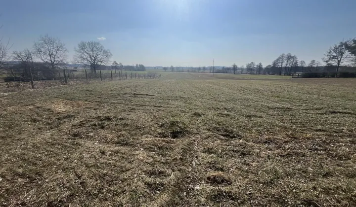 Działka budowlana Wyręba