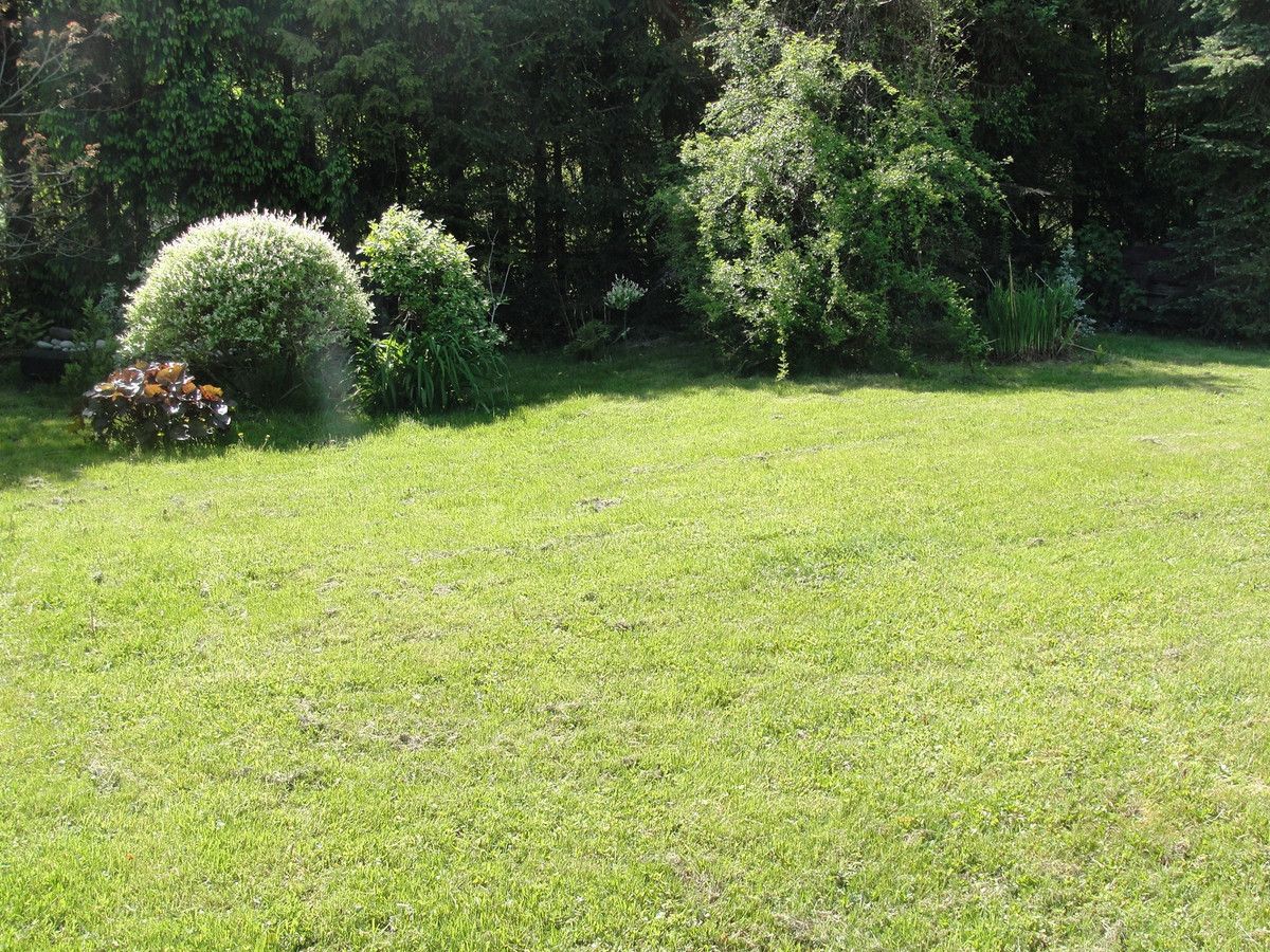 Działka budowlana Klimkówka. Zdjęcie 8