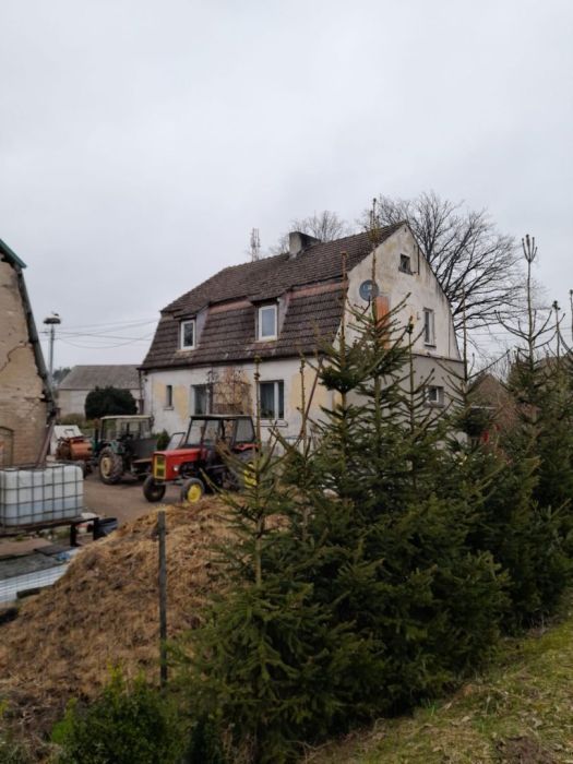 dom wolnostojący, 6 pokoi Drozdowo. Zdjęcie 3