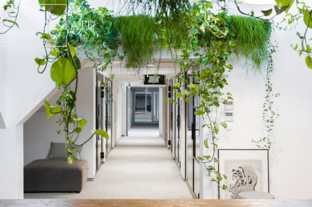 Lokal Gdańsk. Zdjęcie 5