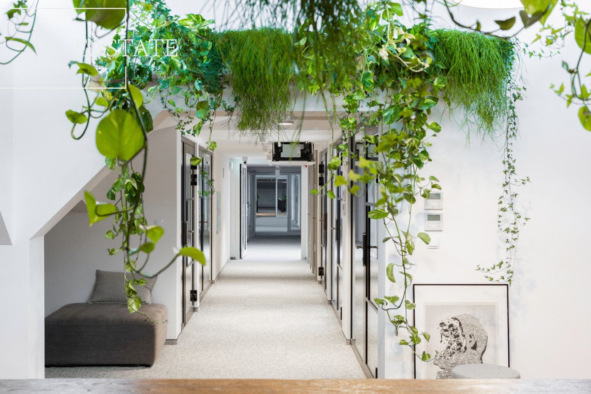 Lokal Gdańsk. Zdjęcie 5