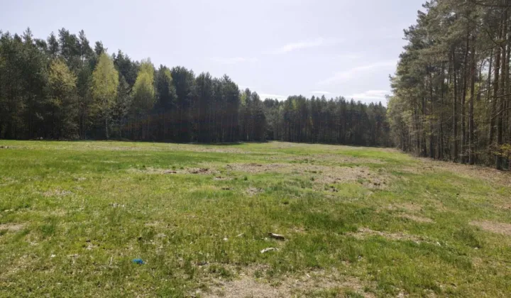 Działka budowlana Zalesna