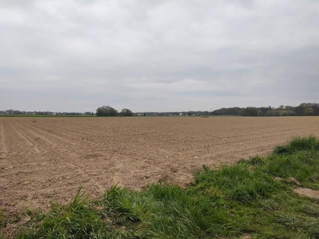 Działka siedliskowa Pruchna. Zdjęcie 7