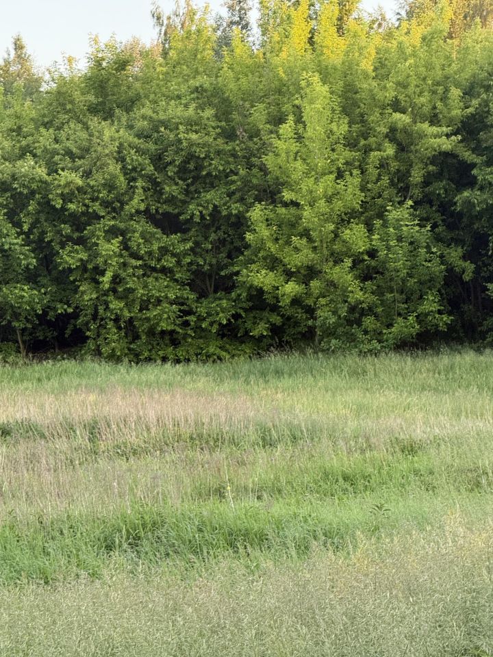 Działka rekreacyjna Łódź Górna, Bieszczadzka. Zdjęcie 4