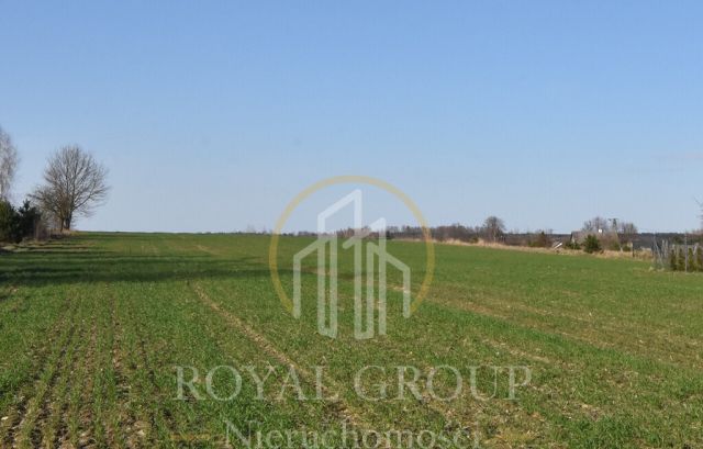 Działka Kunów. Zdjęcie 6