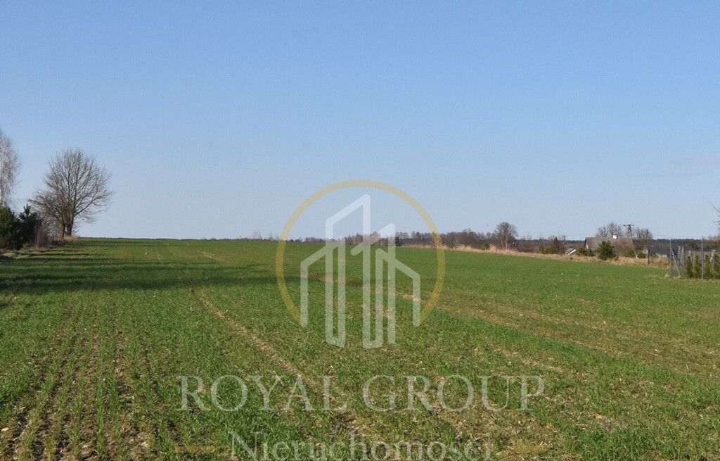 Działka Kunów. Zdjęcie 6
