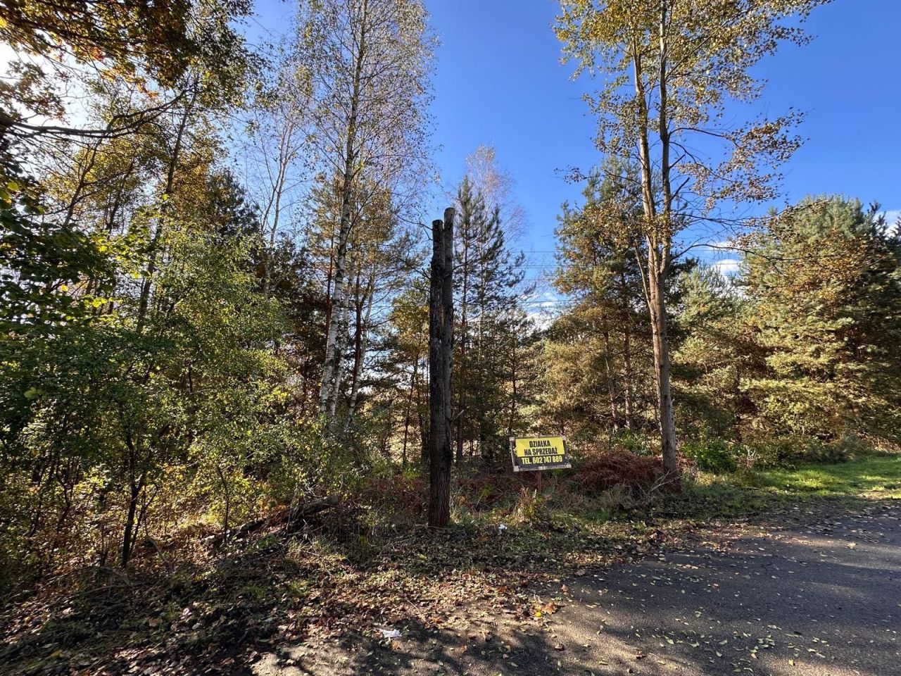 Działka rolno-budowlana Siedlec Duży, ul. Sportowa. Zdjęcie 4
