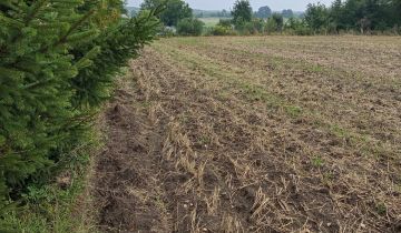 Działka rolno-budowlana Policko