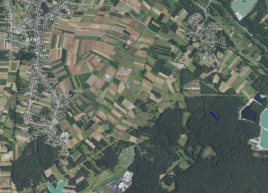 Działka leśna Orliska. Zdjęcie 2